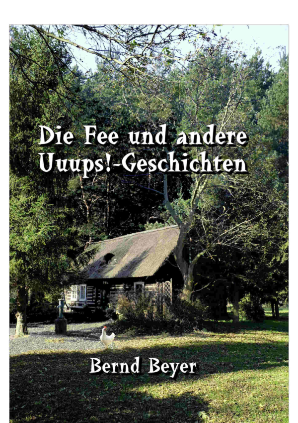 Cover "Die Fee ... und andere Uuups!-Geschichten"